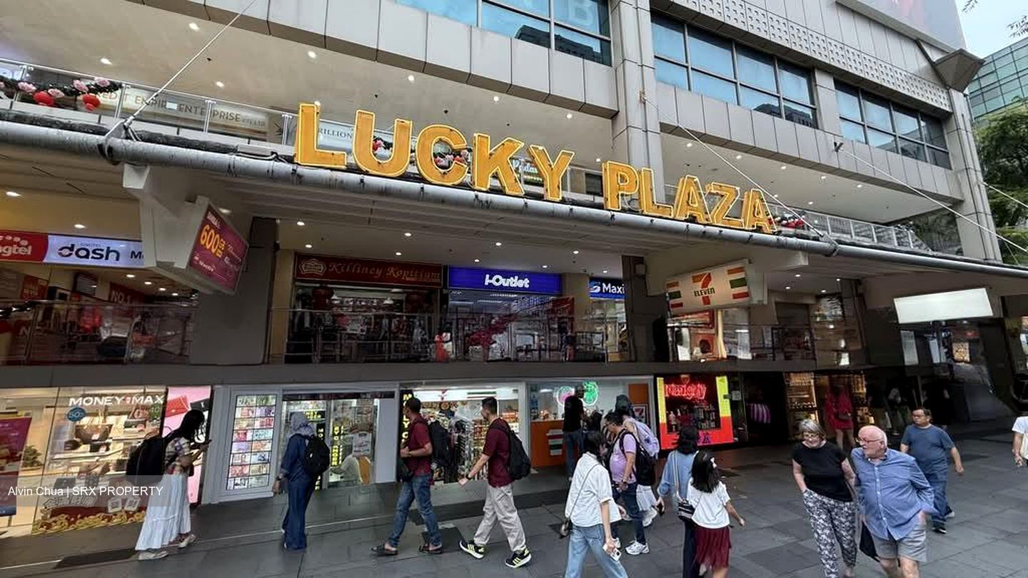 Lucky Plaza (D9), Shop House #628804751